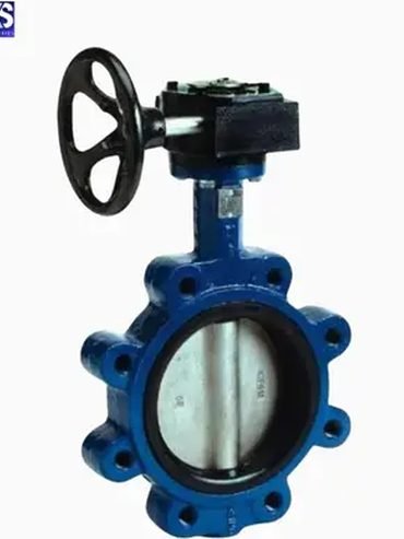 Gear operated lug type butterfly valve with epoxy coated ductile iron body