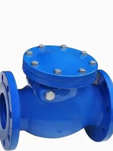 Cast iron swing type non return valve with flanged ends