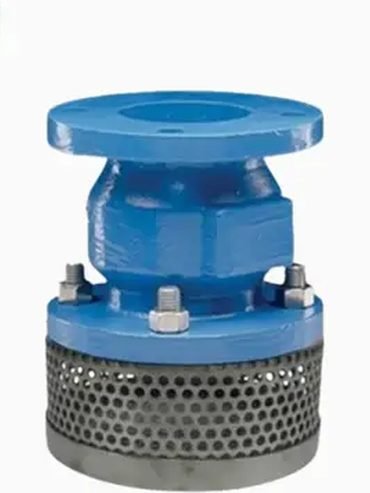 Cast iron foot valve with integral perforated strainer screen