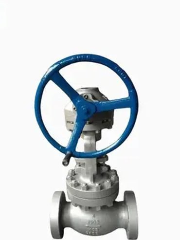 Gear operated globe valve for throttling service